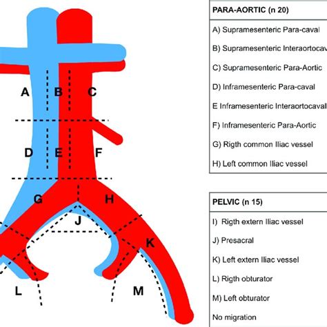 Sentinel Lymph Node Distribution Download Scientific Diagram