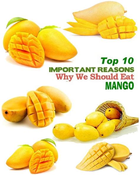 Top 10 Health Benefits Of Mango Fruit Mango Is Rich In Pre Biotic