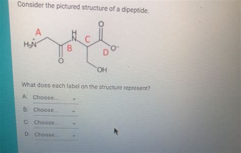 Solved Consider the pictured structure of a dipeptide. A HON | Chegg.com