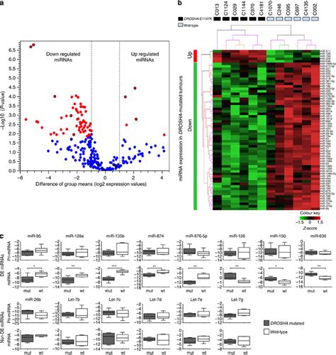 Comparison Of Mirna Expression Levels Of Six Drosha E1147k Mutated And Download Scientific