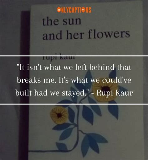 660+ Quotes From The Sun and Her Flowers to Dive Into Emotion in 2024