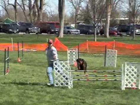 Erin And Bastian AKC Jumpers Nationals YouTube