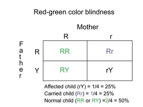 Genetics Colour Blindness