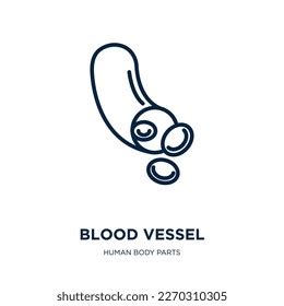 Blood Vessel Icon Human Body Parts Stock Vector Royalty Free