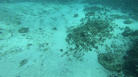 Douglas Shoal Sediment Sampling Panorama Video Fx Gh