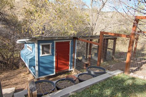 Best Backyard Chicken Coop 6 Basics For Chicken Coop Design Backyard