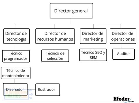 ᐈ Organigrama De Una Empresa Grande Mediana Pequeña Y Más