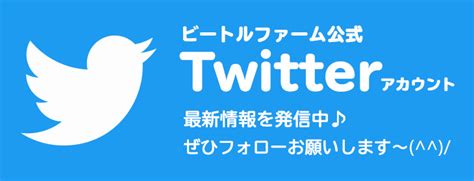 ビートルファーム公式twitter（ツイッター）のご案内│ビートルファーム オオクワガタ販売・通販のビートルファーム。2003年開業のクワガタ