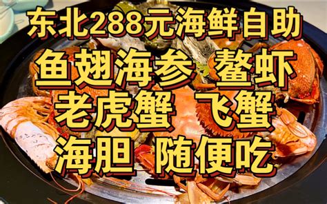 东北288元超豪华海鲜自助鱼翅海参 鳌虾老虎蟹 飞蟹海胆随便吃 转生成为毛毛 转生成为毛毛 哔哩哔哩视频