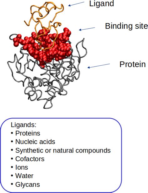 Protein Binding Sites For Ligand Characterization In Drug Discovery