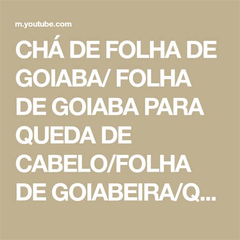 Ch De Folha De Goiaba Folha De Goiaba Para Queda De Cabelo Folha De