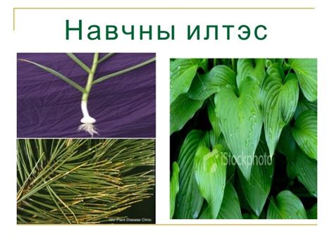 Lecture8