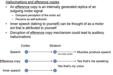 Schizophrenia Final Flashcards Quizlet