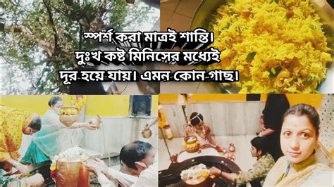 স্পর্শ করা মাত্রই শান্তি। দুঃখ কষ্ট উধাও। ঝরঝরে বাসন্তী পোলাও রেসিপি