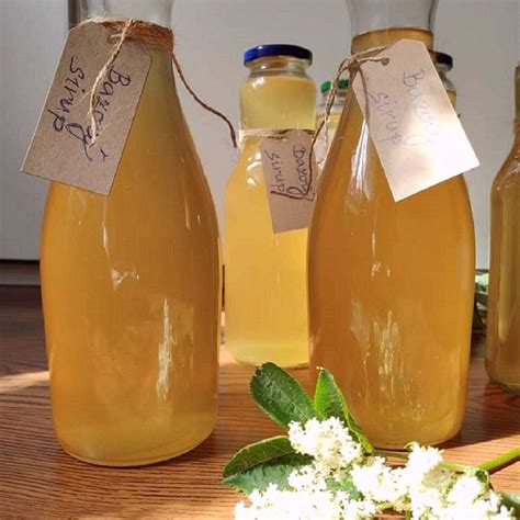 Sirop de sureau cuit à partir de fleurs Tastelist fr