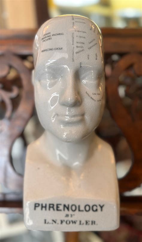 Medium Ceramic Phrenology Head Cm Etsy Uk