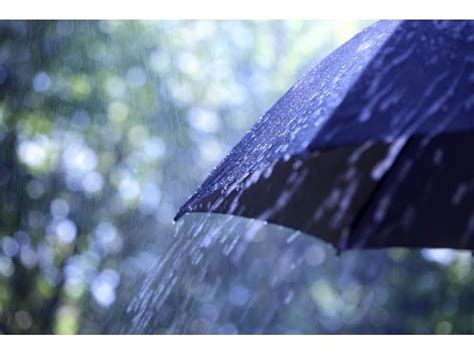 Downers Grove Catches Most July Rainfall in Illinois | Downers Grove ...