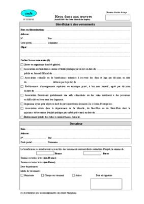 Cerfa 11580 02 Recu Dons Aux Oeuvres Pdf Notice Manuel D Utilisation