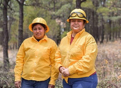 Suman Más De 100 Incendios Forestales En La Entidad En Lo Que Va Del