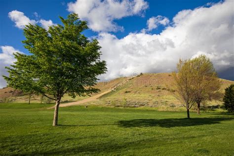 Alone Trees In Camels Back Park At Boise Idaho During Summer Stock