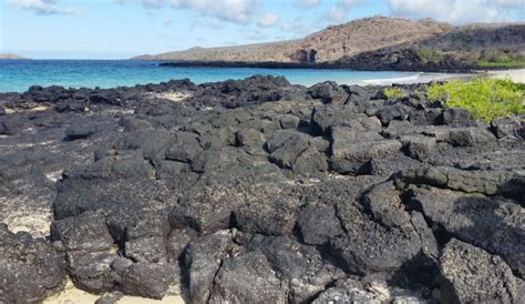 Florena Or Charles Island Information Galapagos Sites Of Visit