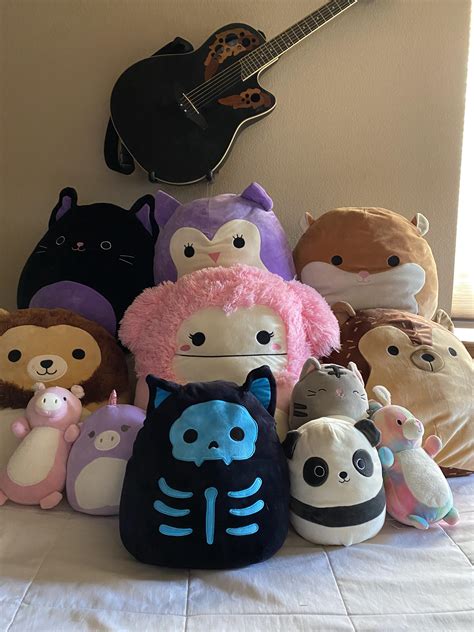 My Full Collection! : r/squishmallow