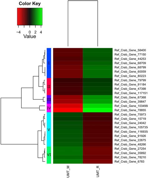 Heatmap Of Gene Expression Values Depicting Clustering Of Genes Between Download Scientific