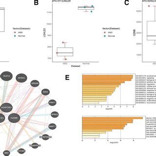 A C Validation And Expression Results Of Hub Genes In A Self Test