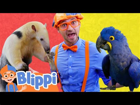 Blippi Learns about Animals and Colors at the Zoo | Blippi - Learn ...