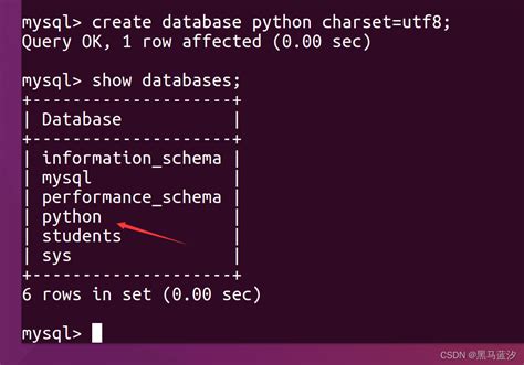 数据库和表的操作 数据库表编写 Csdn博客