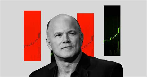 Mike Novogratz Makes Bitcoin Predictions Post Us Elections Sees A