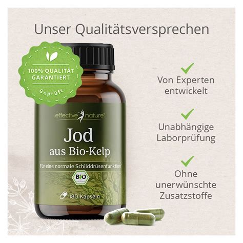 Jod Kapseln Aus Bio Kelp