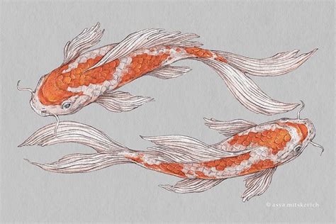 Check Out This Behance Project Koi Fish Illustrations Https