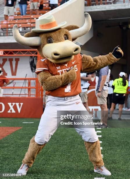 Longhorns Mascot Photos And Premium High Res Pictures Getty Images