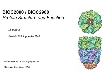 W5 L1 Protein Folding In The Cell BIOC2000 BIOC Protein Structure