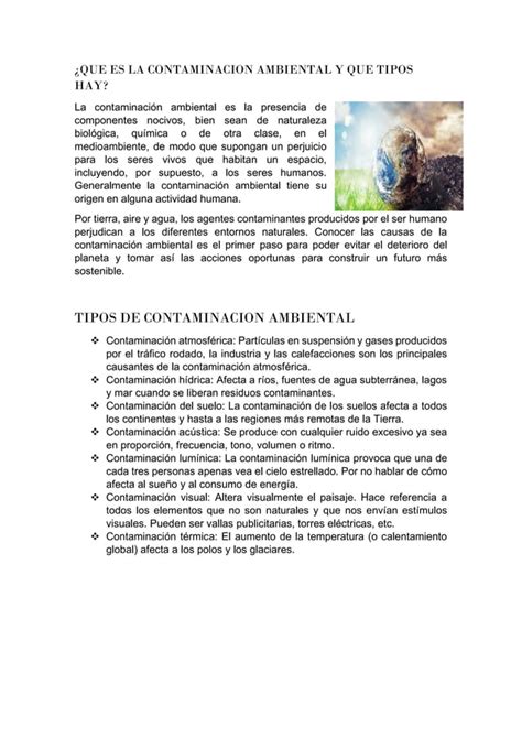 La Contaminacion Ambiental Pdf