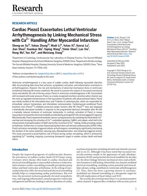 PDF Cardiac Piezo1 Exacerbates Lethal Ventricular Arrhythmogenesis By