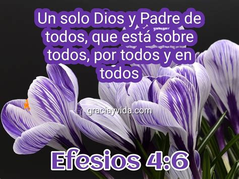 Efesios 46 Un Solo Dios Y Padre De Todos Gracia Y Vida