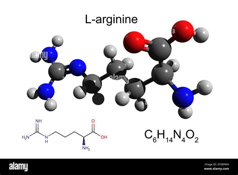 Arginine 3d Structure