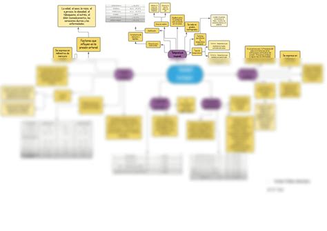 SOLUTION Signos Vitales Organizador Gr Fico Studypool