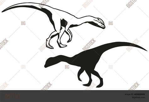 Dinosaurs Silhouettes Vector And Photo Free Trial Bigstock