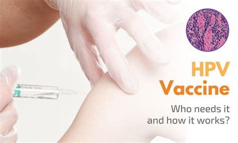 Hpv Vaccine Who Needs It And How It Works Vejthani Hospital