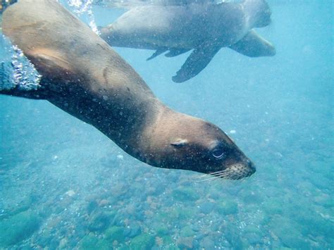 Floreana Island Travel Guide Best Of Floreana Island Galápagos Travel