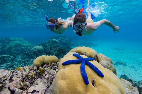 Solomon Islands The Isles Of Golden Beaches And Rainforest