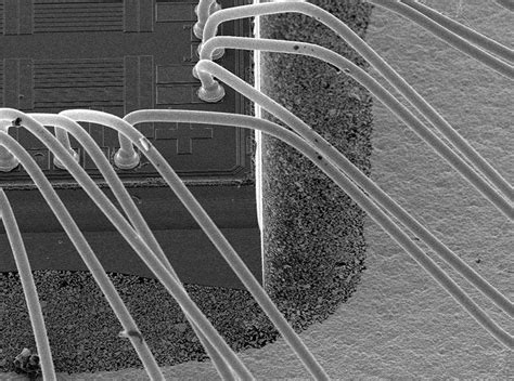 Scanning Electron Microscopy Spirit Electronics