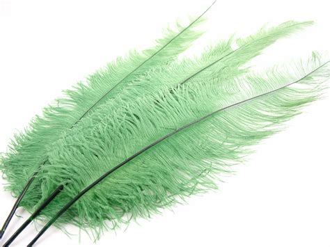 Large Ostrich Spadone Feathers 20 25″ Jaffe