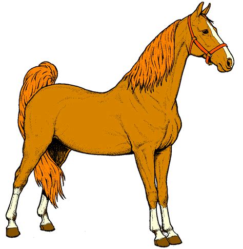 clip art horse cartoon - Clip Art Library