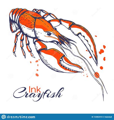 Ink Hand Drawn Crayfish Concept For Decoration Or Design Ink Spattered