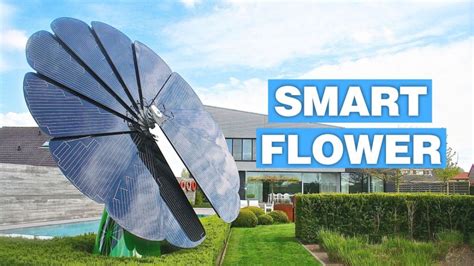 Smartflower L Impianto Fotovoltaico Che Segue Il Sole E Produce Di