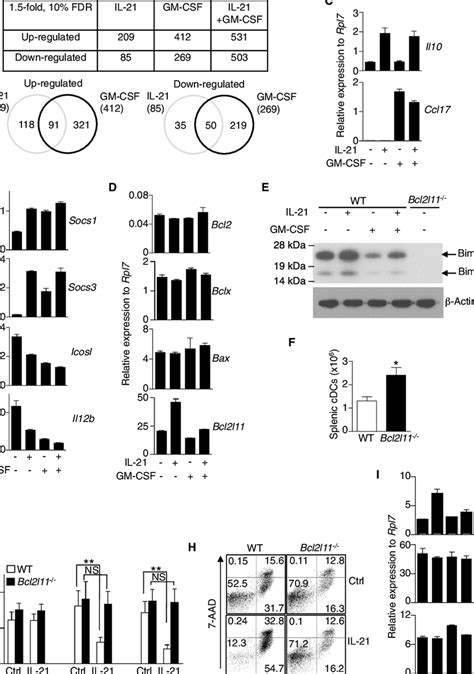 Il And Gm Csf Have Both Distinctive And Overlapping Gene Regulation